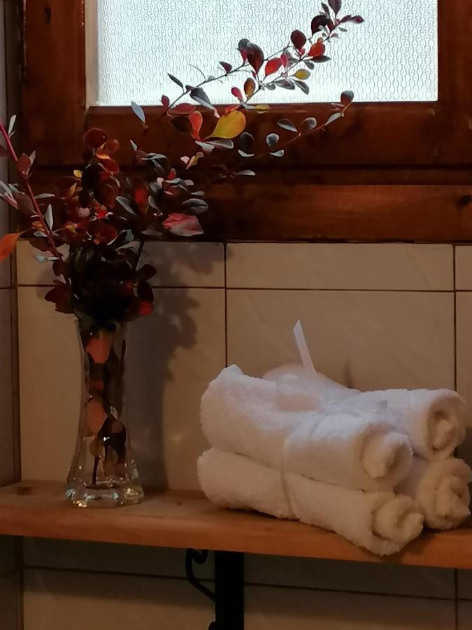 Ξενώνας Το Πατρικό Karya Esterno foto